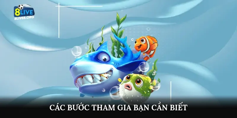 Các bước tham gia bạn cần biết