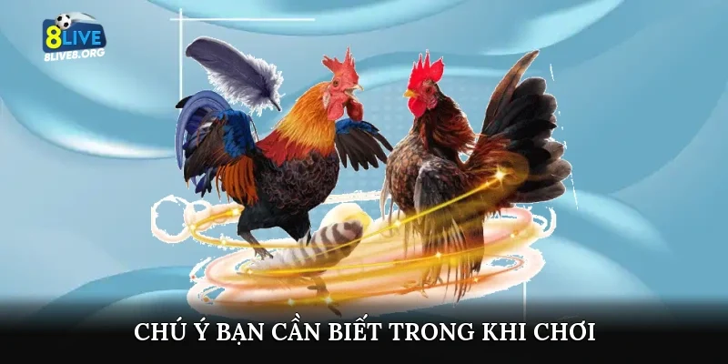 Chú ý bạn cần biết trong khi chơi