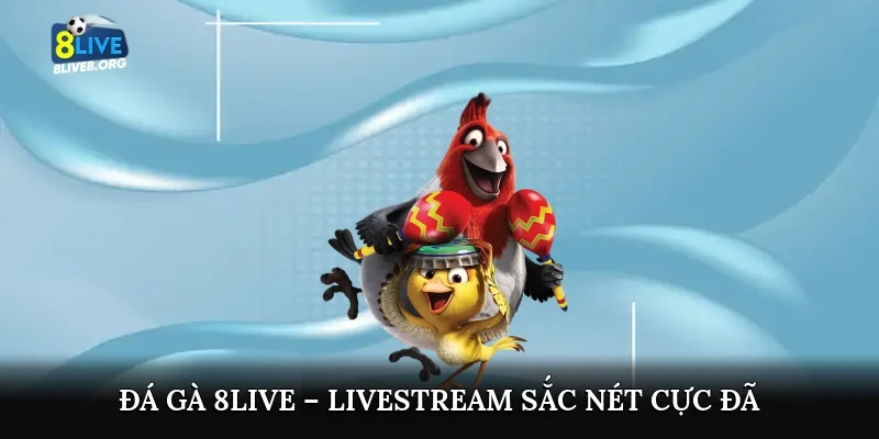 Đá gà 8live – Livestream sắc nét cực đã