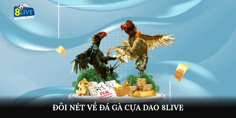 Đôi nét về đá gà cựa dao 8live