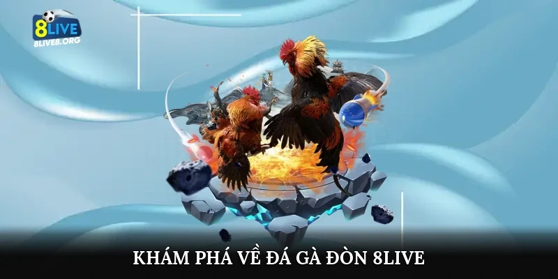 Khám phá về đá gà đòn 8live